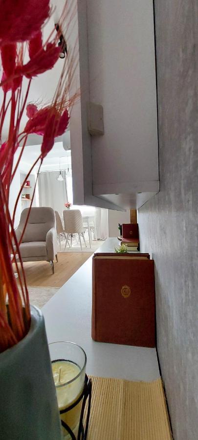 The Modern Apartment